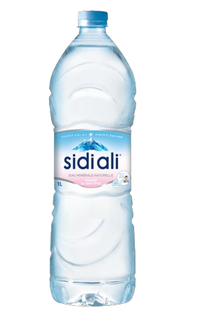 Sidi Ali image